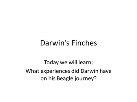 Image result for Evolution Lesson Videos