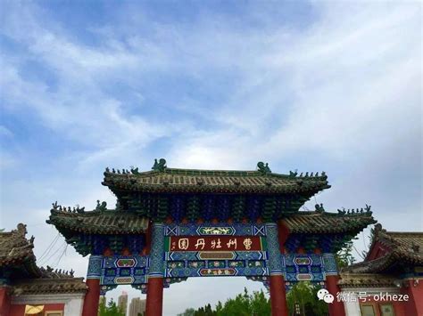 第30届菏泽国际牡丹文化旅游节将于4月9日开幕-中华网山东