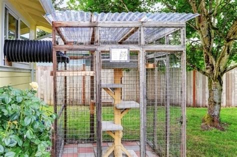 Image result for Best Cat Window Boxes