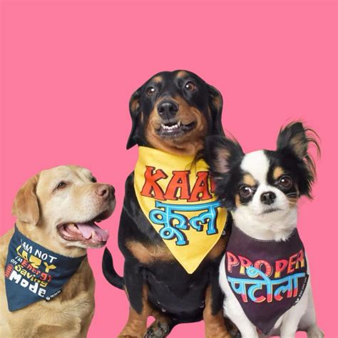 Crazy Super Saver Bandanas Pack of 3 – Pet Set Go