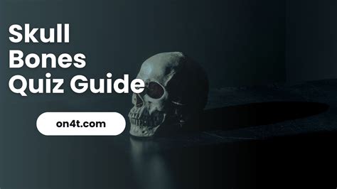 Skull Bones Quiz Guide: Explore Learn Skull Easily - On4t