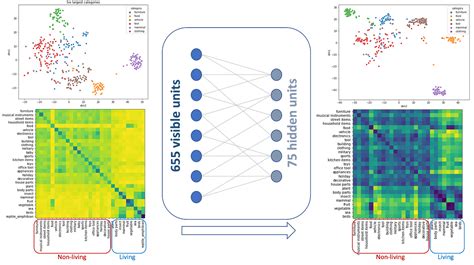Image result for Unsupervised Learning Dimension Reduction