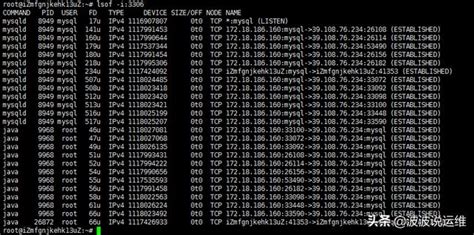 linux 开放端口_详解Linux如何查看服务器开放的端口号_weixin_40004051的博客-CSDN博客