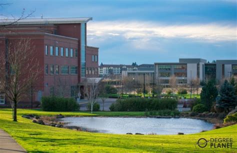 Associates in Computer Science 的图像结果