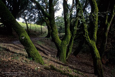 Environment Photography 的图像结果