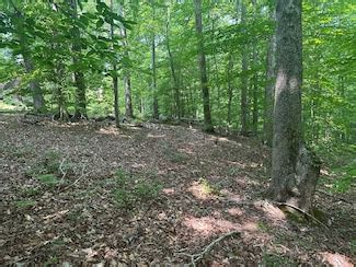 Clarksville, VA Homes for Sale & Real Estate - Homes.com