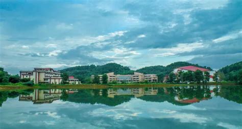 IIT Guwahati Introduces India To Biodegradable Plastic | WhatsHot Kolkata