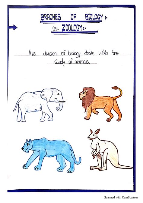 Biology Examples 的图像结果