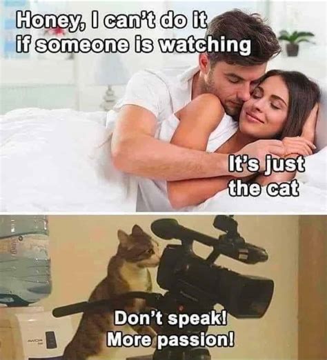 funny dirty memes-22-2-3-2025 - Thunder Dungeon | The Funniest Memes ...