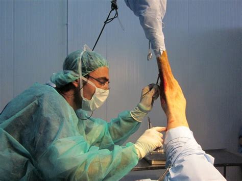 Clínica Equina Olmedo Cirugía Equina | Clínica Equina Olmedo