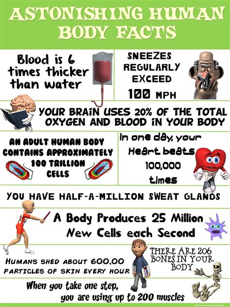 3 Interesting Facts About The Human Body