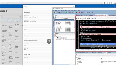Image result for How to Debug in PL SQL Developer