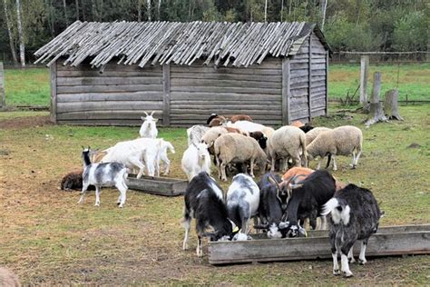 Belarus Photos - Featured Images of Belarus, Europe - Tripadvisor