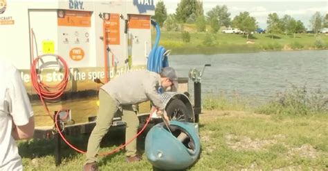 Elmo Washing Machine 的图像结果