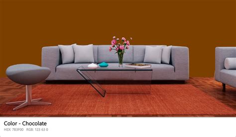 Chocolate Color 的图像结果