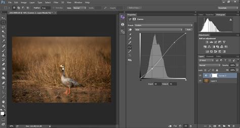Image result for Curve Photoshop Tutorial