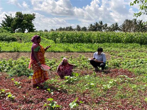 Speech Recognition in Agriculture and Finance for the Poor in India.