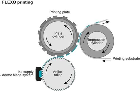 Flexography 101: The Flexo Printing Process Explained