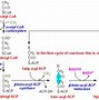 Image result for fatty acid 脂肪酸的英文名称