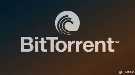 BitTorrent Network 的图像结果