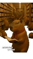 Image result for Typing Effect JavaScript