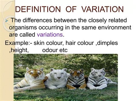 Variation (Genetics) | PPTX