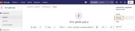 GitLab SSH Key Custom Instance 的图像结果