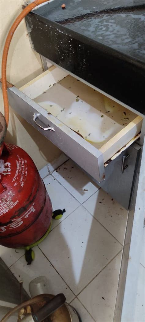 PestGuard - Pest Control Services