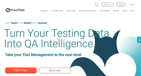 PractiTest Tutorial 的图像结果