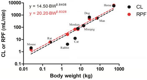 Meta-Assessment of Metformin Absorption and Disposition ...