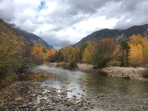 Image result for Color Line Magic Cabins