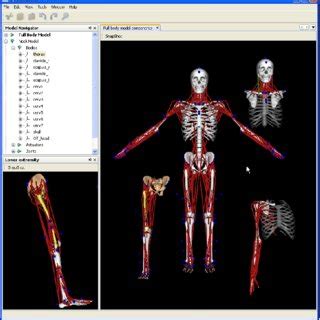 Open Source Simulations 的图像结果