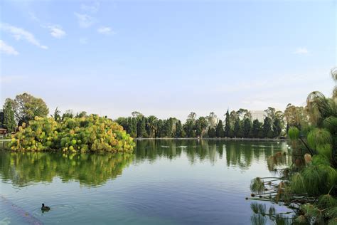 Mexico City: Park Revitalization Promotes Accessibility – Global ...