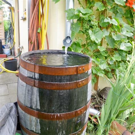 Rainwater Harvesting Made Easy: Guide to Water Barrels