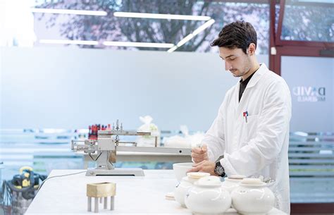 David Lab 的图像结果