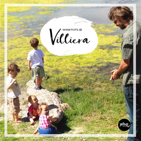 Stellenbosch top 20 family friendly wineries for you and your kids ...