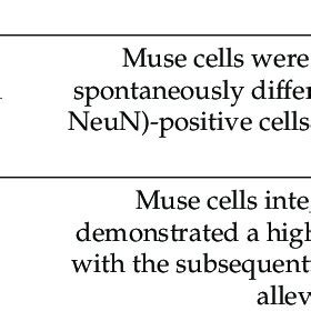 Using Muse Depository 的图像结果