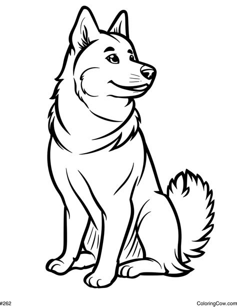 Husky Dog Colouring Pages