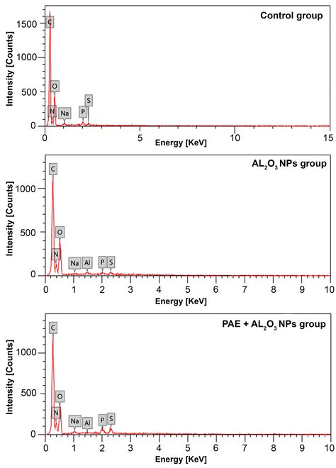 Entomotherapeutic Role of Periplaneta americana Extract in Alleviating ...
