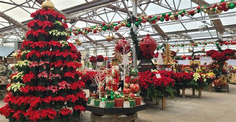 Produce Box 的图像结果