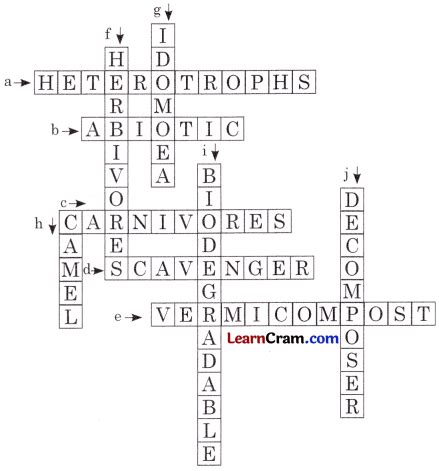 Science Class 6 1 Lesson Answer 的图像结果