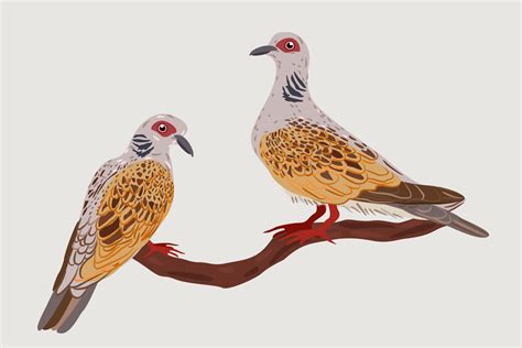 Two Turtle Doves