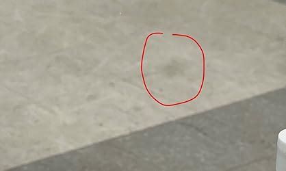 Image result for Graphite iPhone 13 Pro Camera