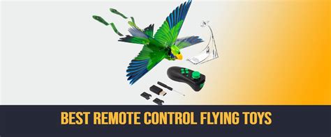 Image result for Remote Control Fly