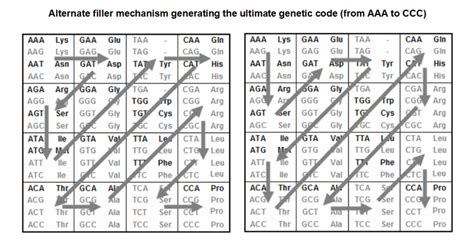 How to Read Genetic Code Table 的图像结果