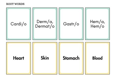 Medical Terminology Flashcards, Medical Terminology Prefixes, Suffixes ...