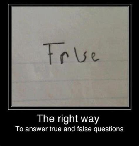 Image result for Short Circuit or Operator in Java Example Code