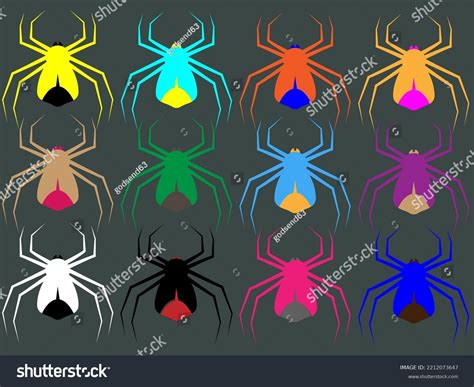 Vector Illustration Variety Colorful Spiders Stock Vector (Royalty Free ...