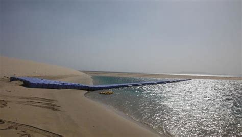 Safari de medio día por el desierto de Catar, Doha - Central de Reservas