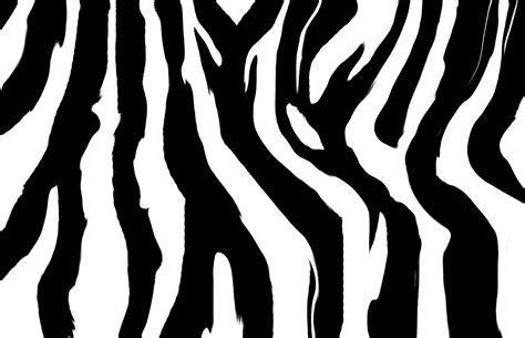Image result for Zebra Print